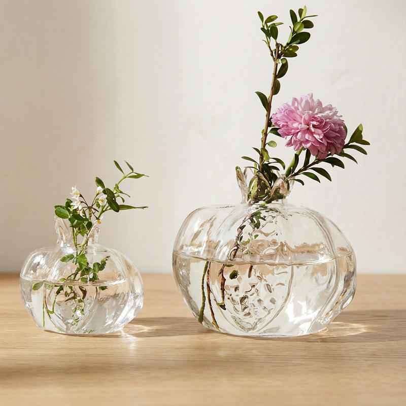 Collection vases verre grenade transparent