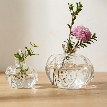 Collection vases verre grenade transparent