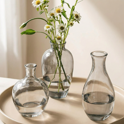Collection vases verre transparent design minimaliste et naturel gris