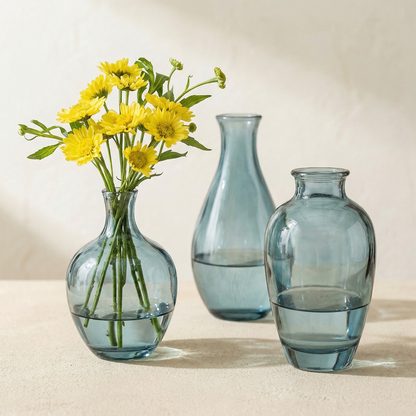 Collection vases verre transparent design minimaliste et naturel vert