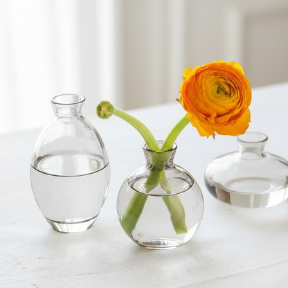 Trio vases verre design arrondi transparent
