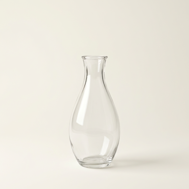 Vases en verre transparent – Design minimaliste et naturel L'univers-du-vase