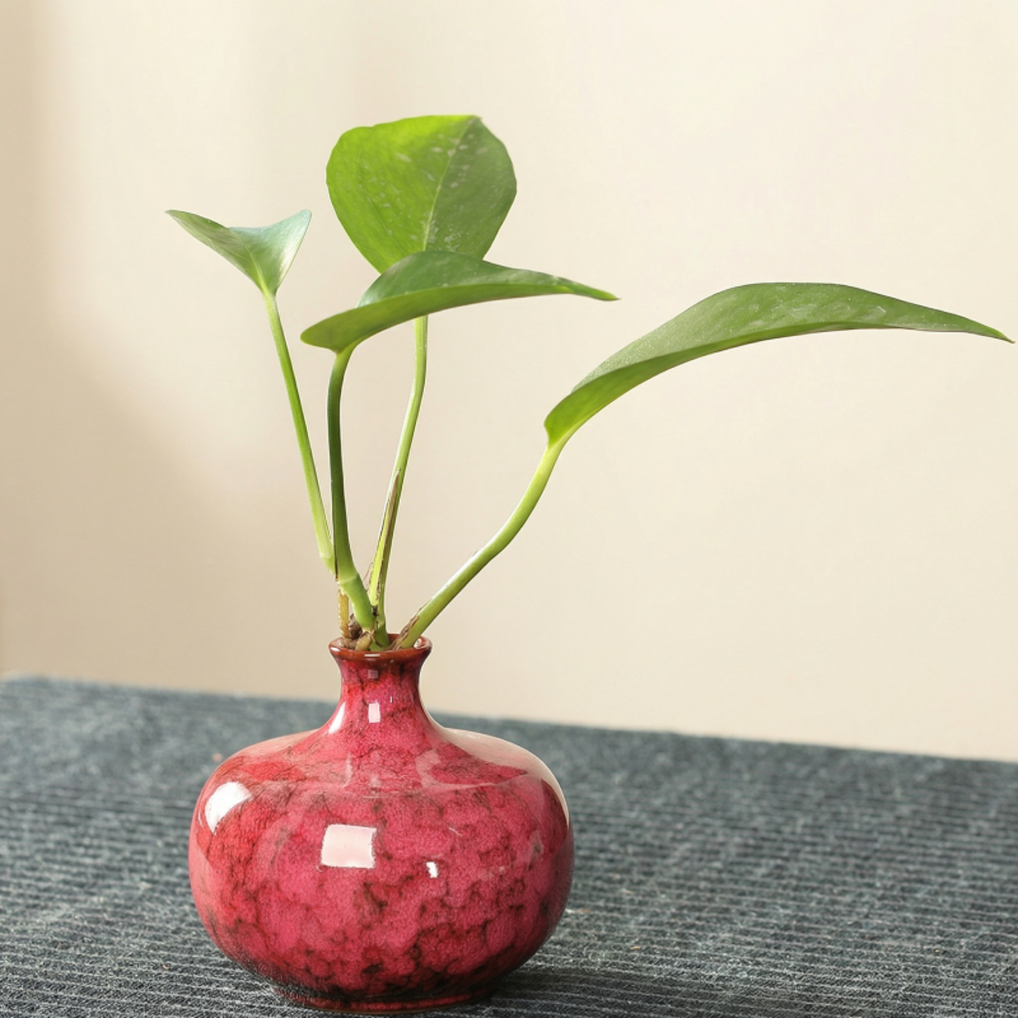 Vases en céramique effet craquelé
