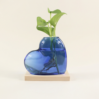 Vases en verre forme cœur