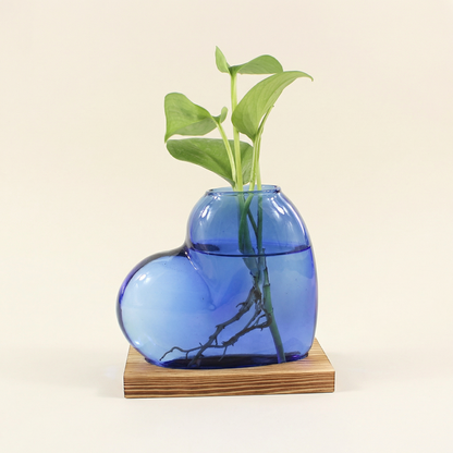 Vases en verre forme cœur