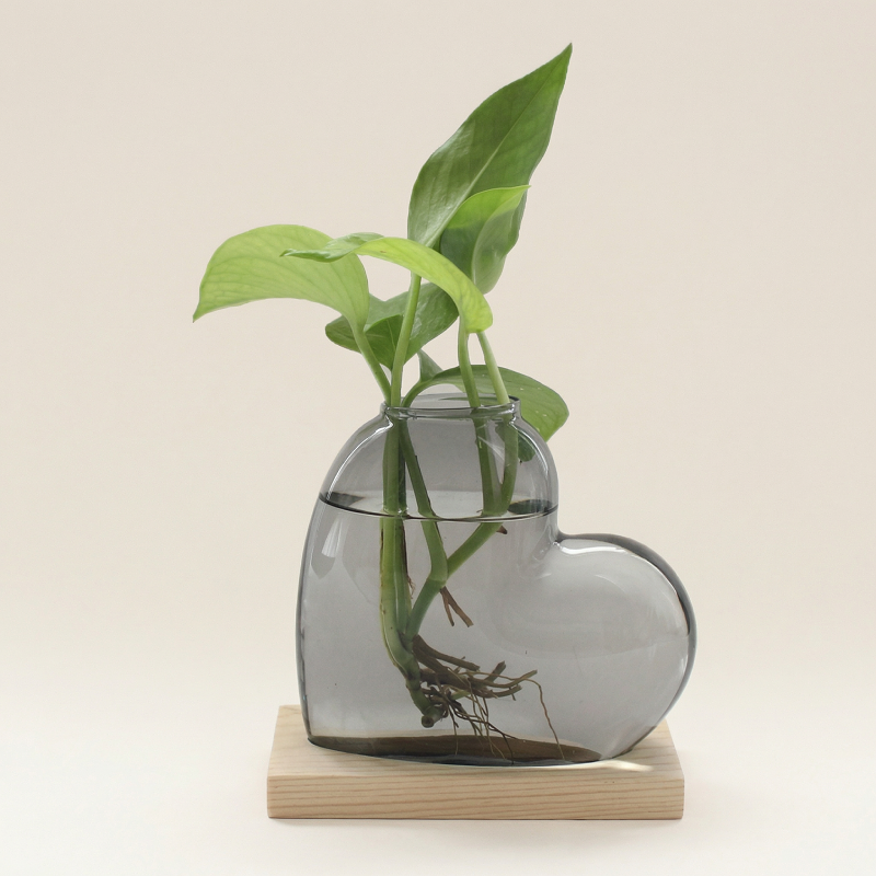 Vases en verre forme cœur