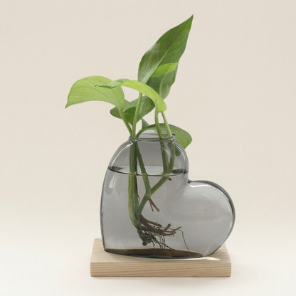 Vases en verre forme cœur