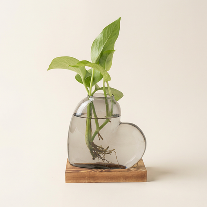 Vases en verre forme cœur