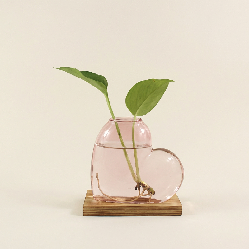 Vases en verre forme cœur