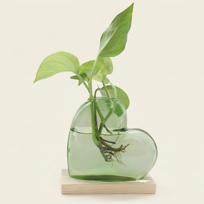 Vases en verre forme cœur