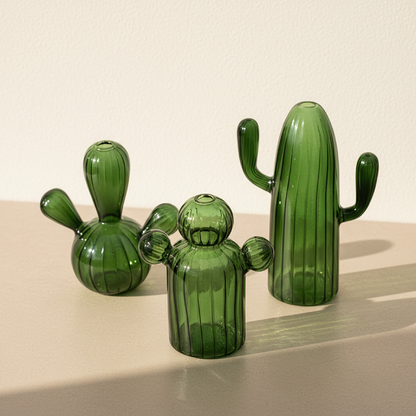 Vases verre cactus design végétal vert vue dessus